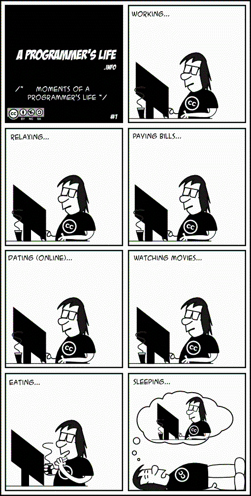 software developer comic